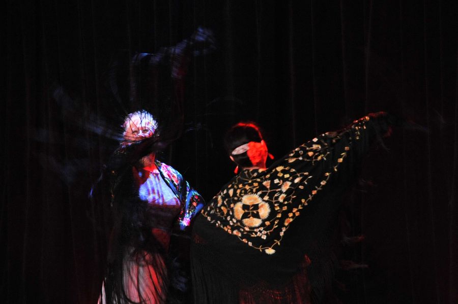 Kliknij aby zobaczyć pełny rozmiar