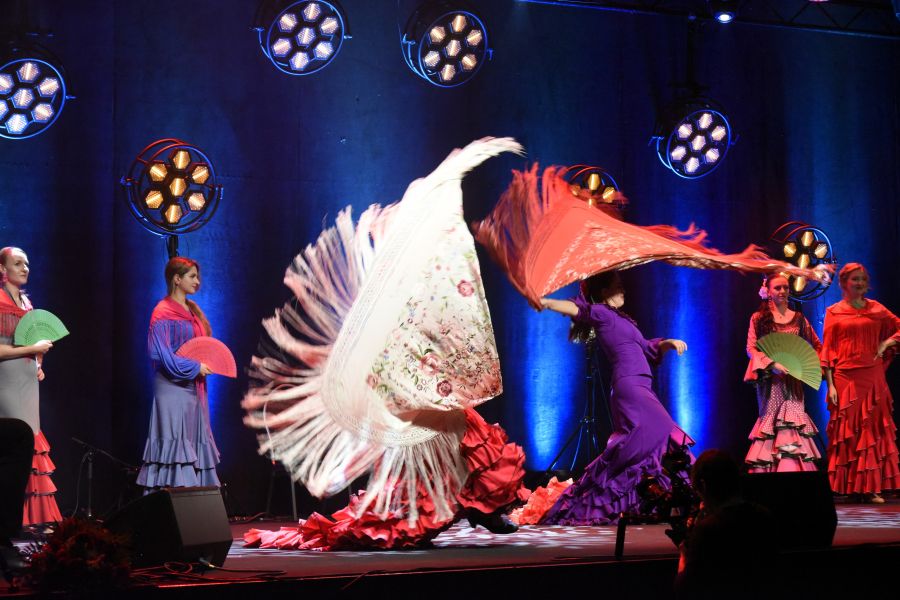 Kliknij aby zobaczyć pełny rozmiar