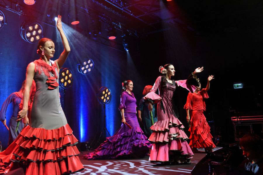 Kliknij aby zobaczyć pełny rozmiar