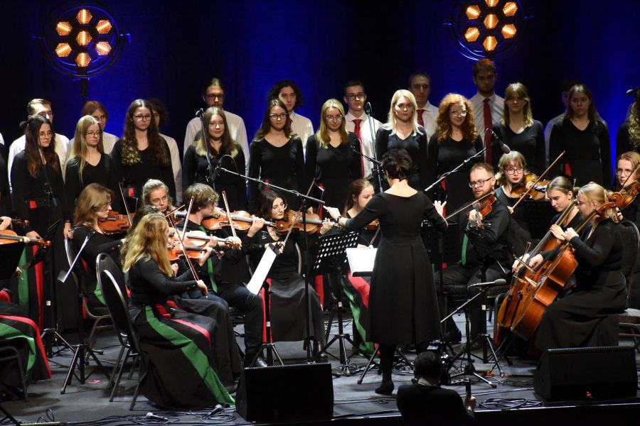 Kliknij aby zobaczyć pełny rozmiar