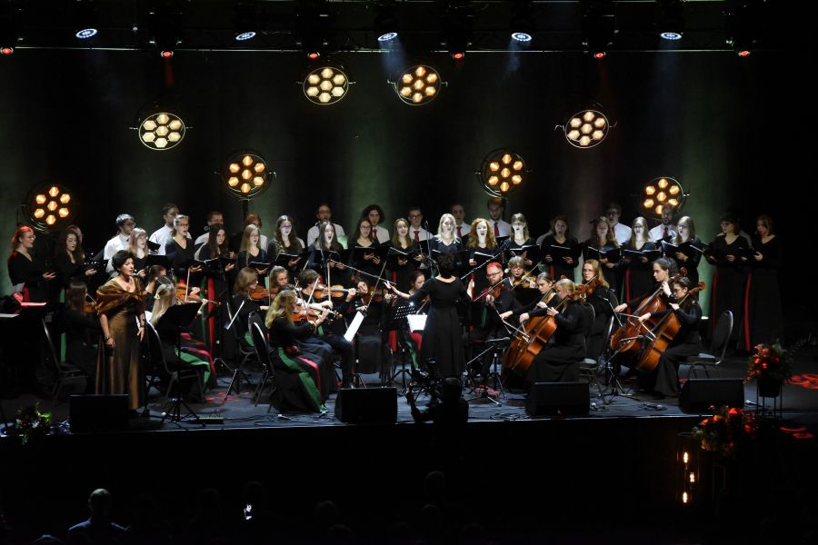 Kliknij aby zobaczyć pełny rozmiar