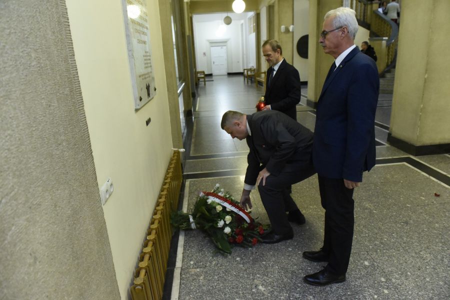 Kliknij aby zobaczyć pełny rozmiar