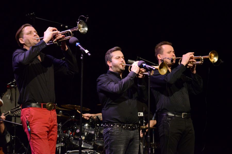 Kliknij aby zobaczyć pełny rozmiar