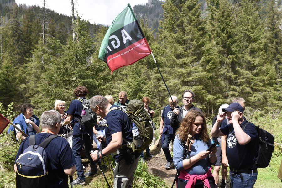 Kliknij aby zobaczyć pełny rozmiar