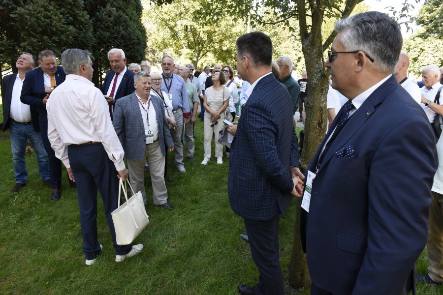 Kliknij aby zobaczyć pełny rozmiar