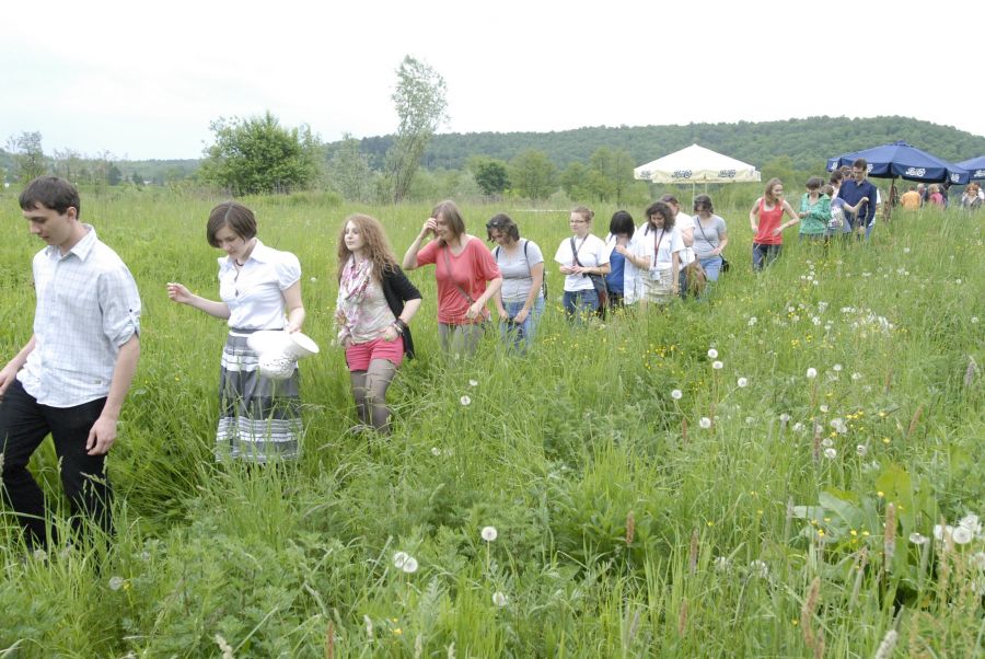 Kliknij aby zobaczyć pełny rozmiar