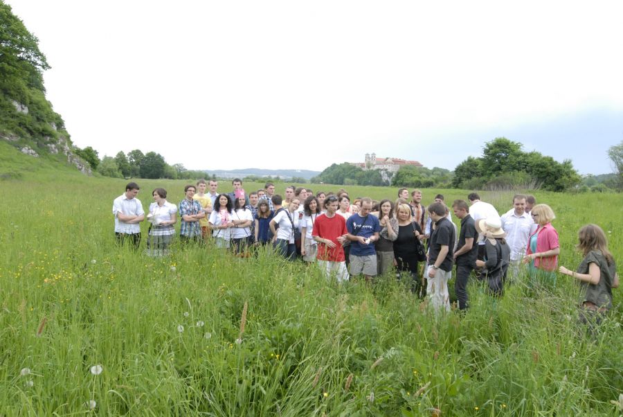 Kliknij aby zobaczyć pełny rozmiar