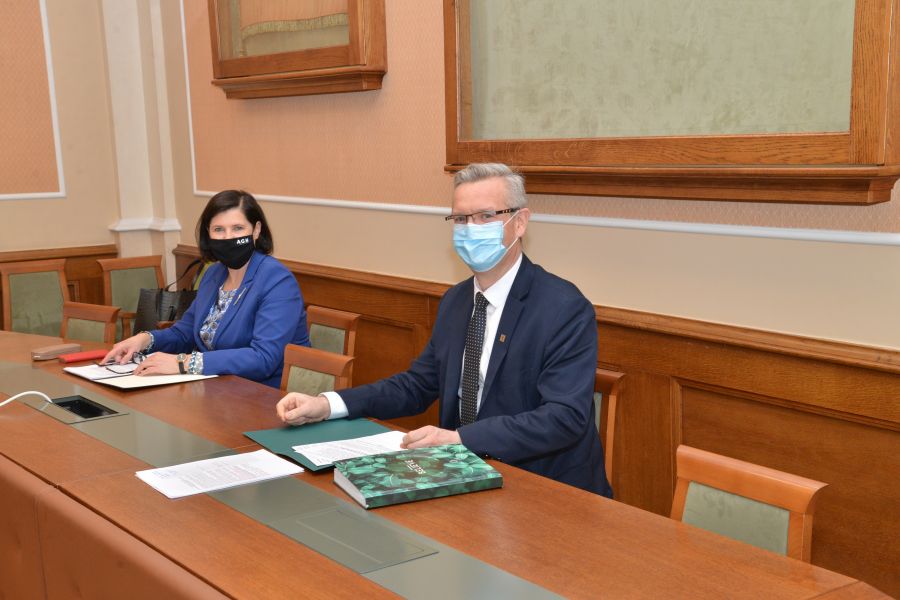 Kliknij aby zobaczyć pełny rozmiar