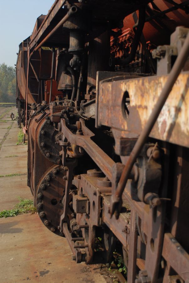 Kliknij aby zobaczyć pełny rozmiar