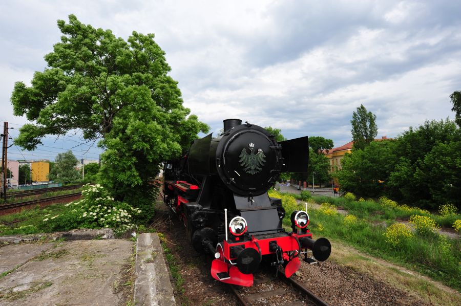 Kliknij aby zobaczyć pełny rozmiar