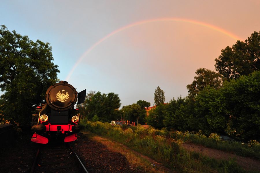 Kliknij aby zobaczyć pełny rozmiar