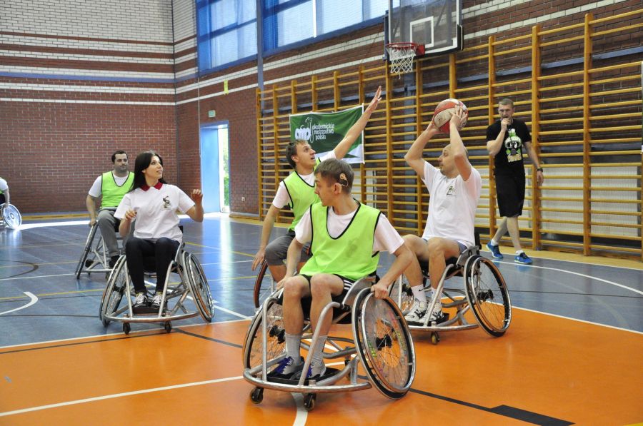 Kliknij aby zobaczyć pełny rozmiar