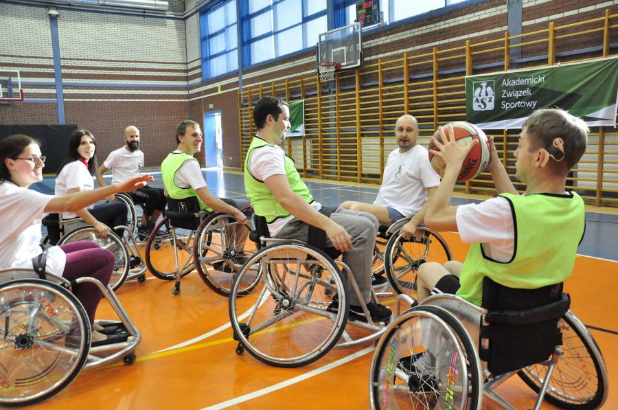 Kliknij aby zobaczyć pełny rozmiar