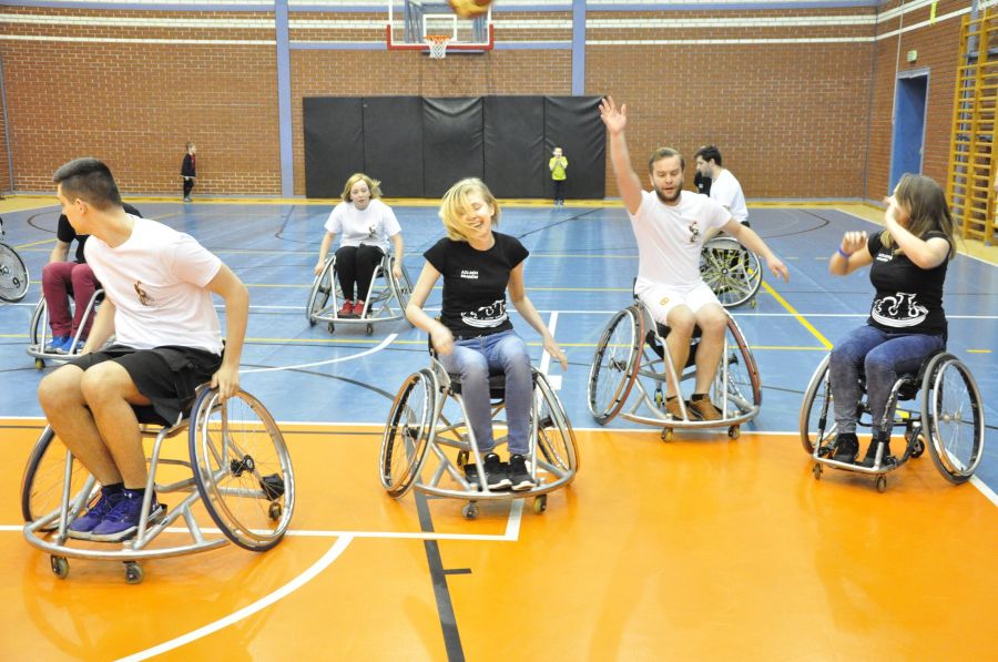 Kliknij aby zobaczyć pełny rozmiar