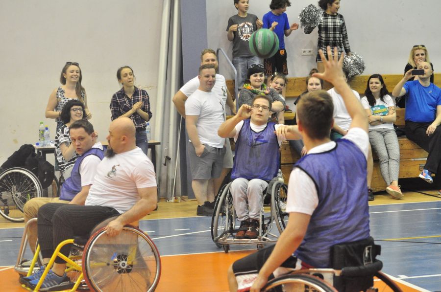 Kliknij aby zobaczyć pełny rozmiar