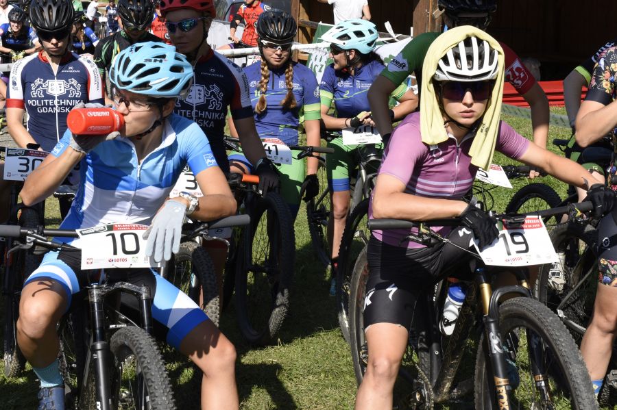 Kliknij aby zobaczyć pełny rozmiar