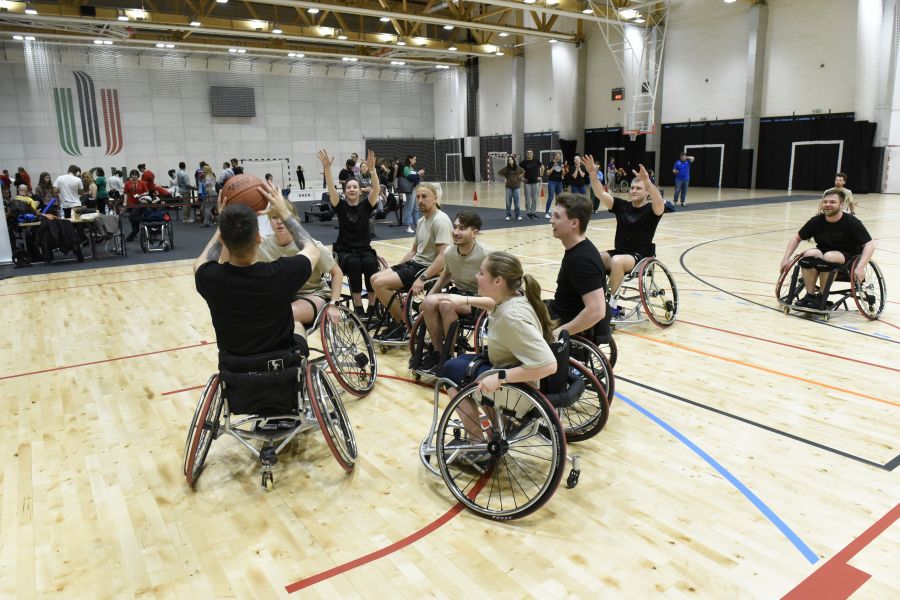 Kliknij aby zobaczyć pełny rozmiar