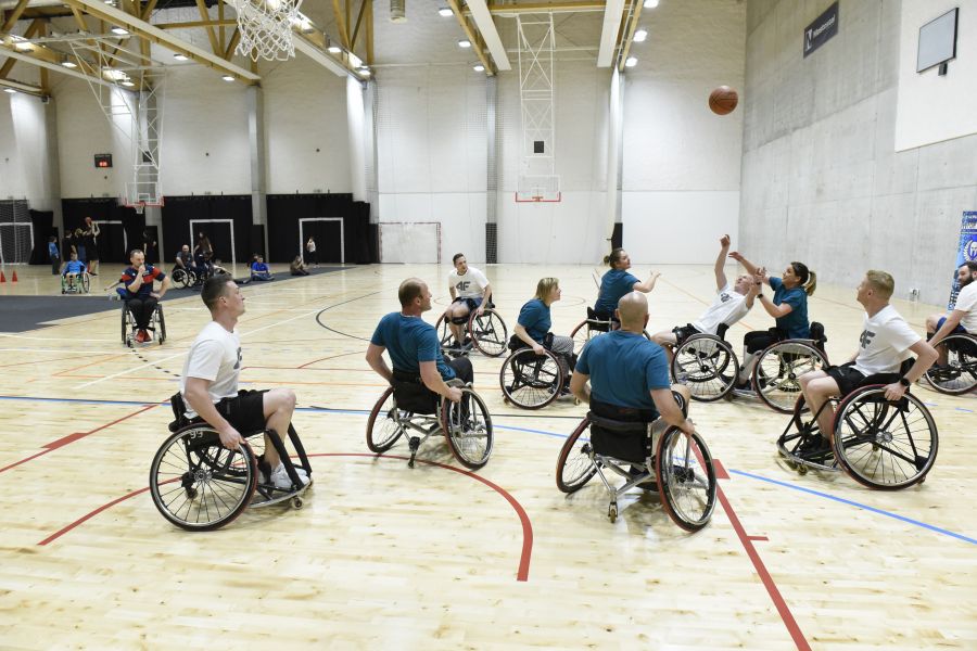 Kliknij aby zobaczyć pełny rozmiar