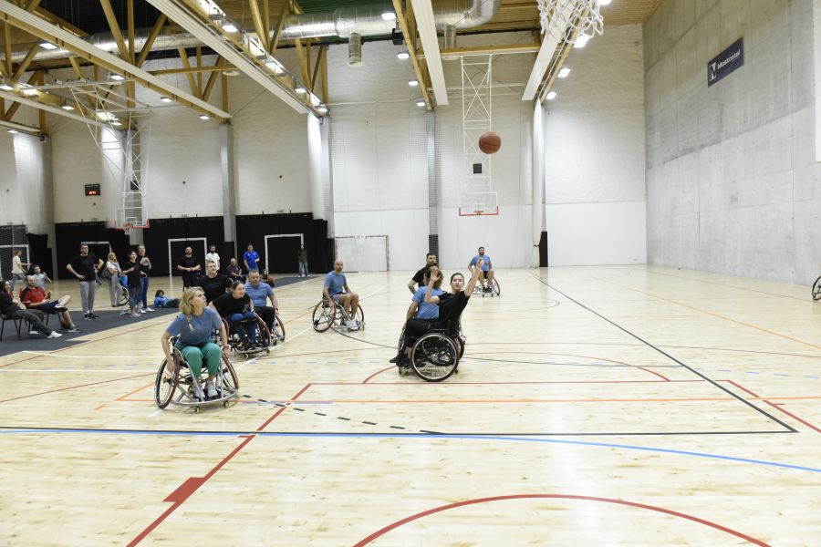 Kliknij aby zobaczyć pełny rozmiar