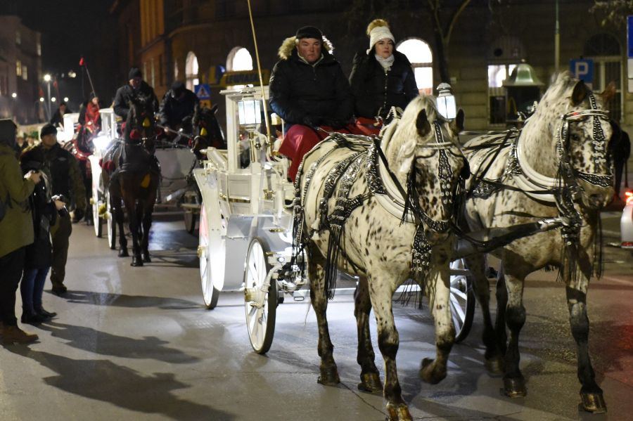 Kliknij aby zobaczyć pełny rozmiar