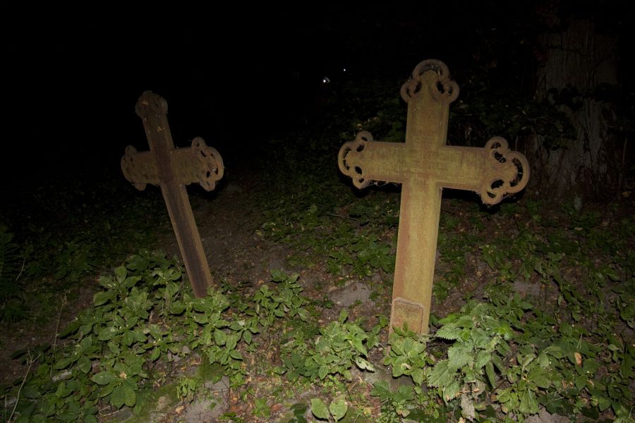 Kliknij aby zobaczyć pełny rozmiar