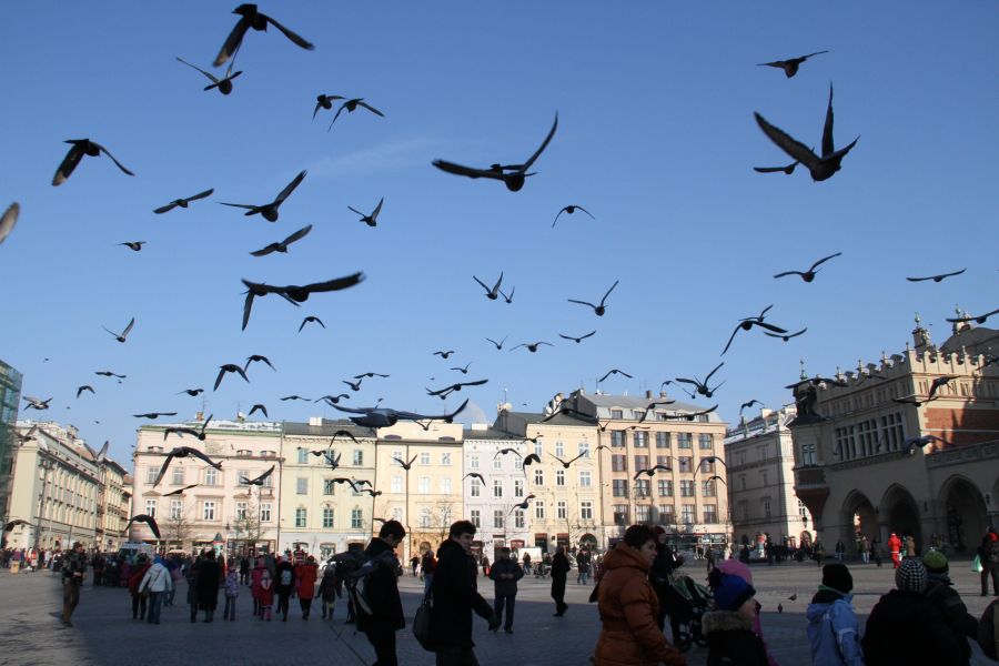 Kliknij aby zobaczyć pełny rozmiar