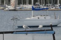 Nazwa pliku=065_AKZ_WSEx_2013__9692_.jpg
Wielkość pliku=487KiB
Rozmiar=2293x1535
Data dodania= %19, %569 %2013 065_AKZ_WSEx_2013__9692_.jpg