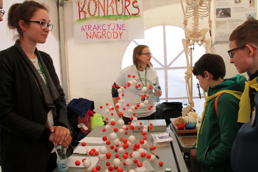 Kliknij aby zobaczyć pełny rozmiar