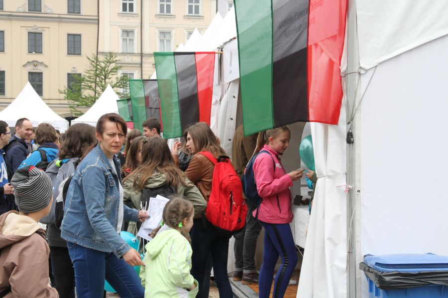 Kliknij aby zobaczyć pełny rozmiar