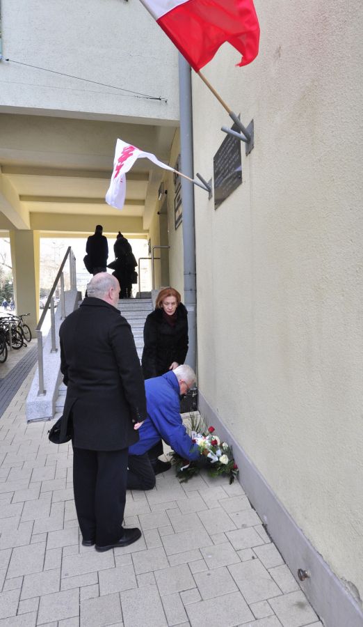 Kliknij aby zobaczyć pełny rozmiar