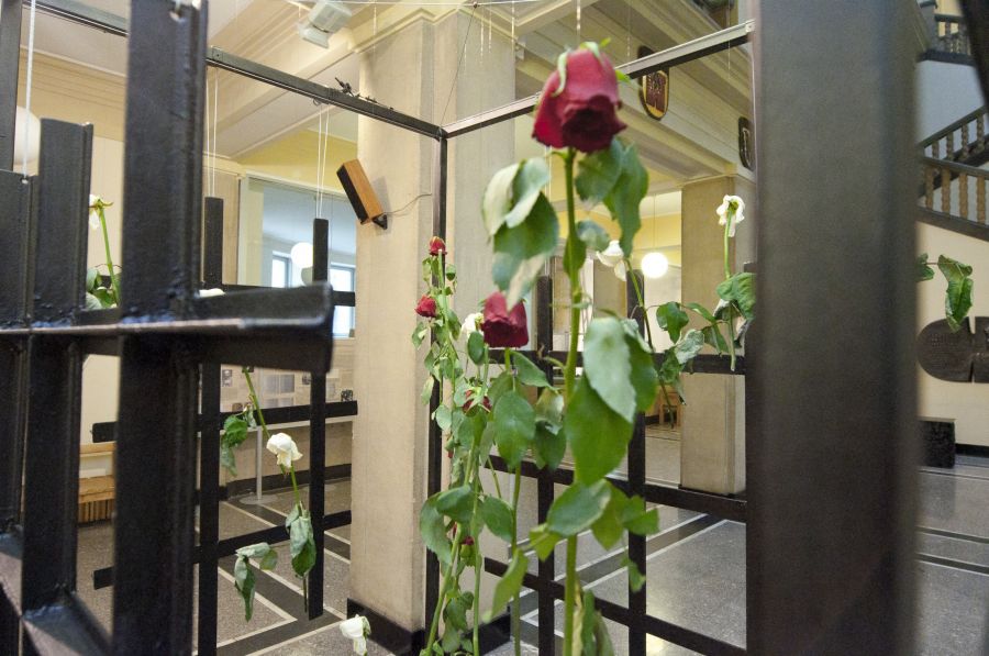 Kliknij aby zobaczyć pełny rozmiar