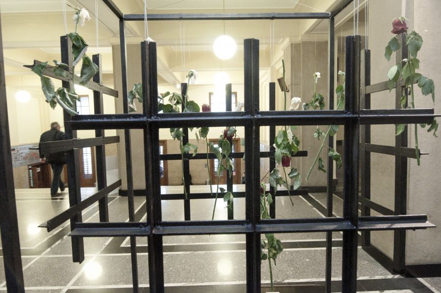 Kliknij aby zobaczyć pełny rozmiar