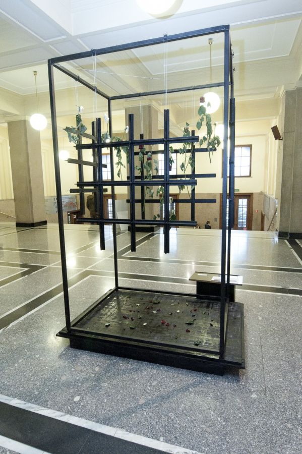 Kliknij aby zobaczyć pełny rozmiar