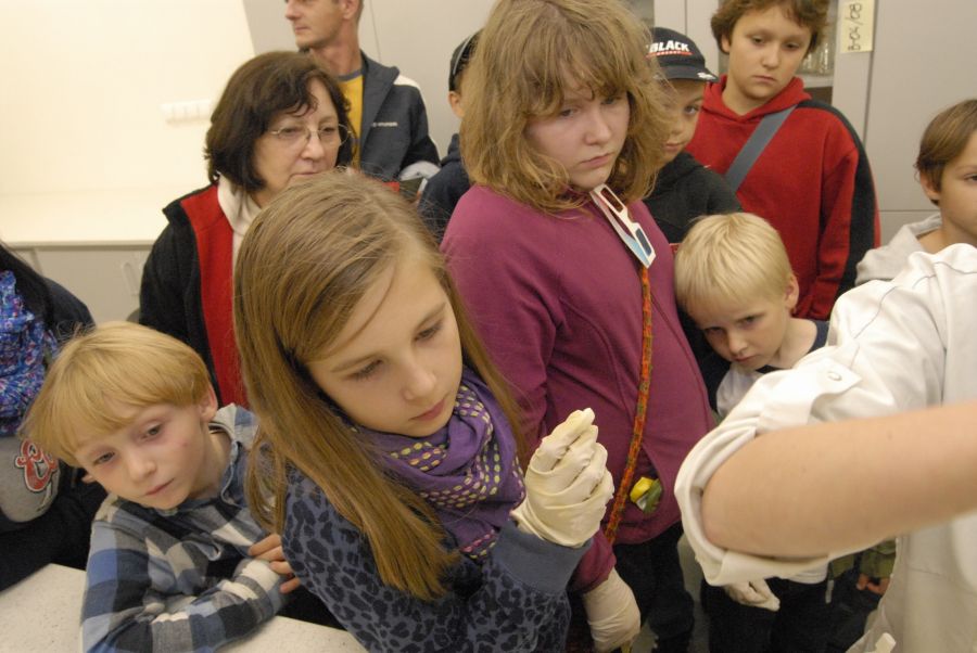 Kliknij aby zobaczyć pełny rozmiar