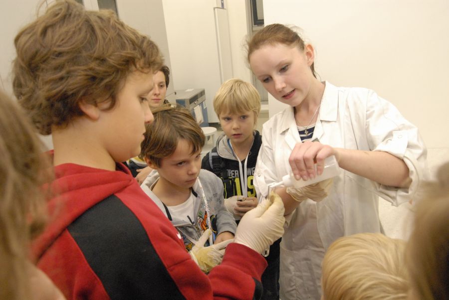 Kliknij aby zobaczyć pełny rozmiar