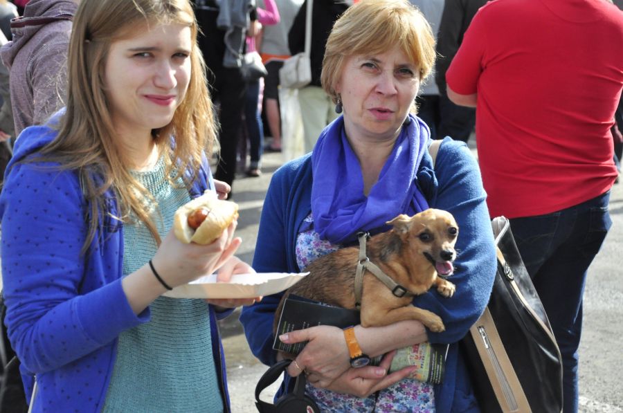 Kliknij aby zobaczyć pełny rozmiar