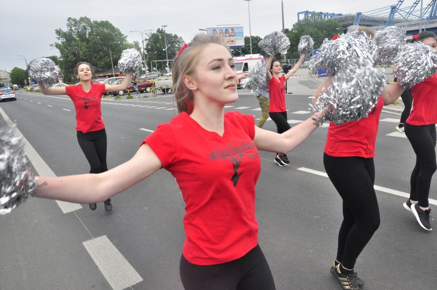 Kliknij aby zobaczyć pełny rozmiar