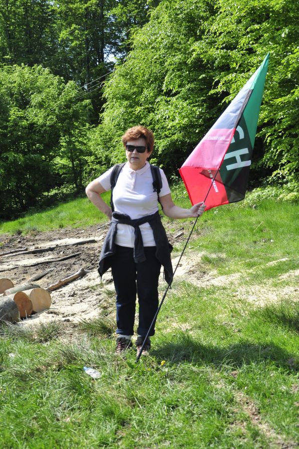 Kliknij aby zobaczyć pełny rozmiar