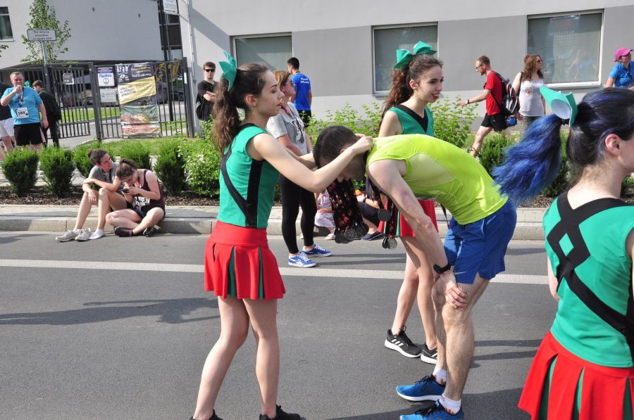 Kliknij aby zobaczyć pełny rozmiar