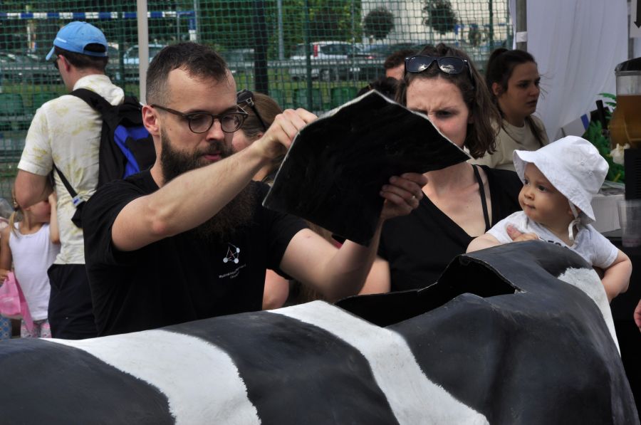 Kliknij aby zobaczyć pełny rozmiar