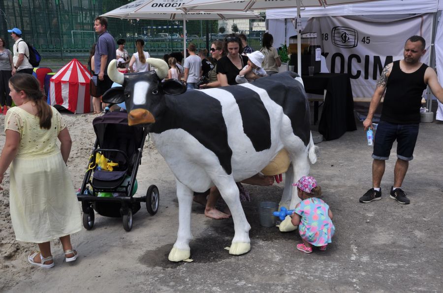 Kliknij aby zobaczyć pełny rozmiar