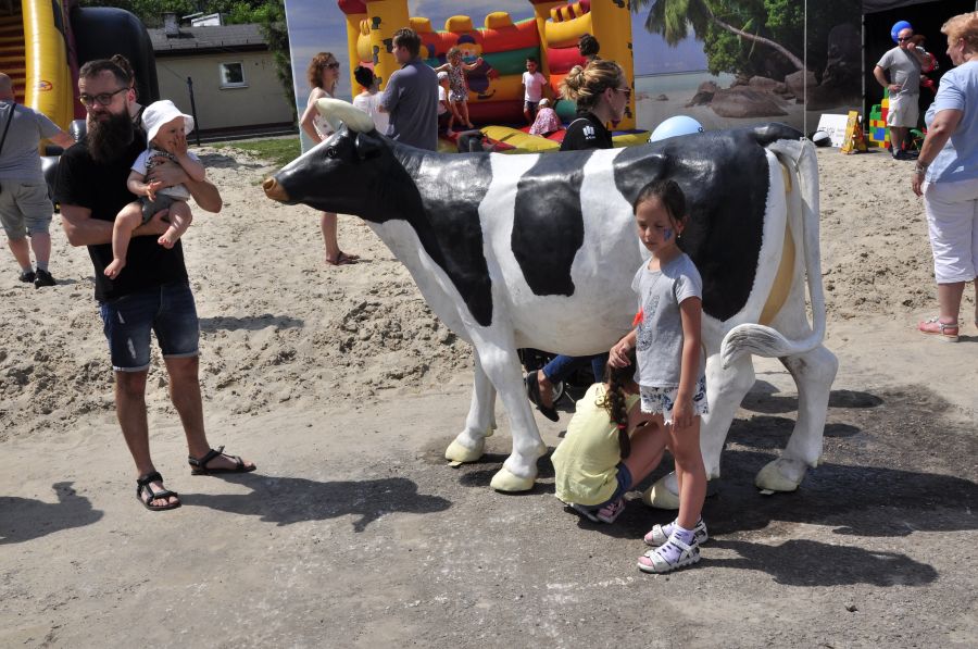 Kliknij aby zobaczyć pełny rozmiar