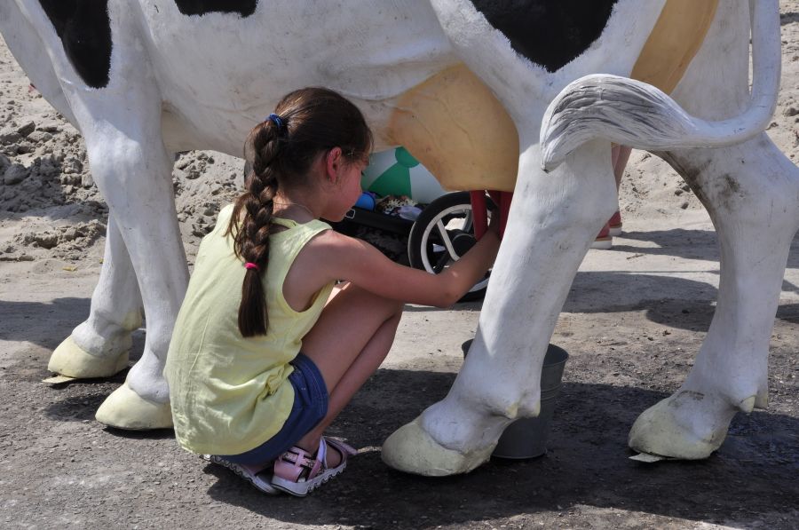 Kliknij aby zobaczyć pełny rozmiar