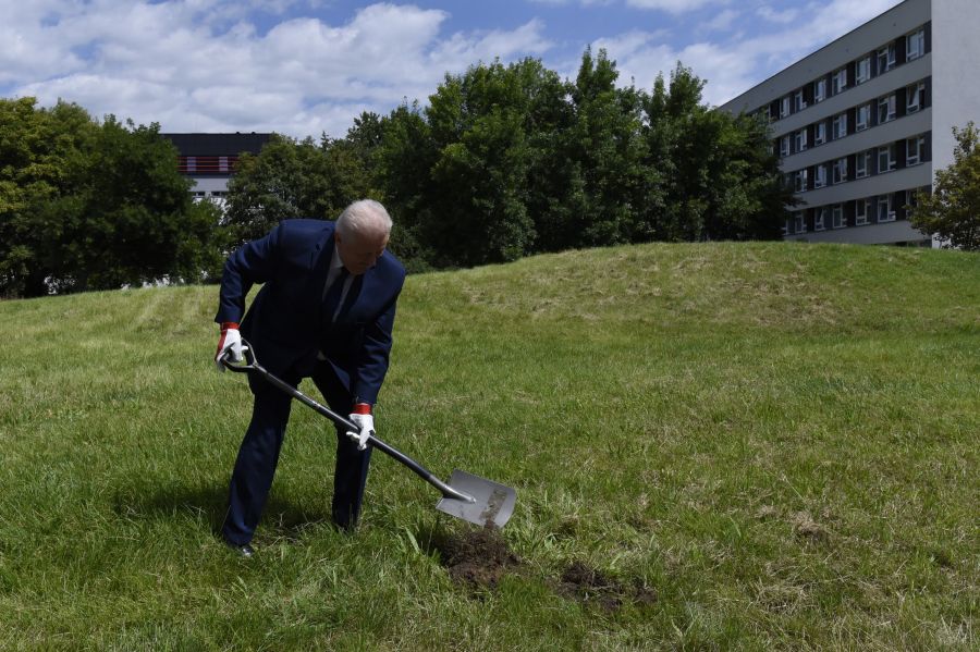 Kliknij aby zobaczyć pełny rozmiar