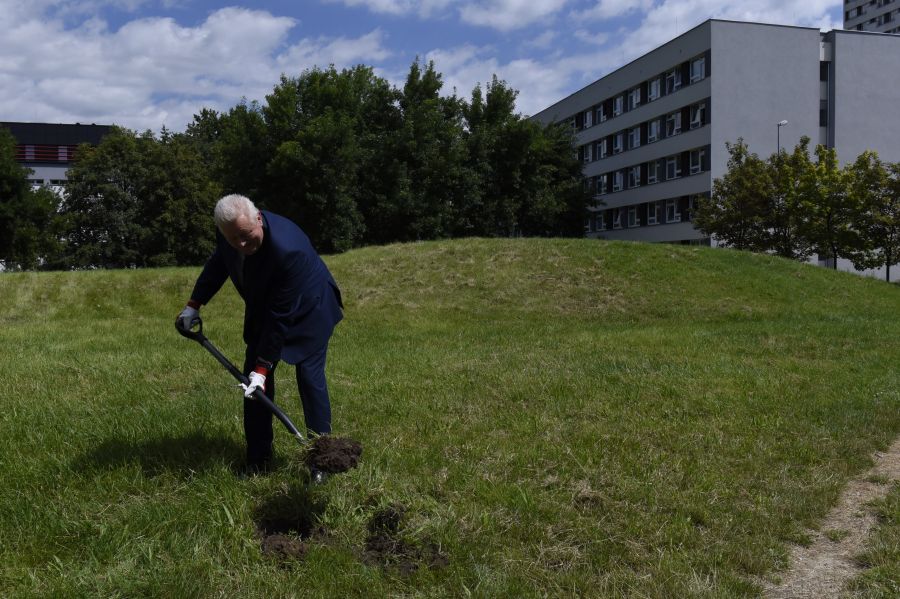 Kliknij aby zobaczyć pełny rozmiar