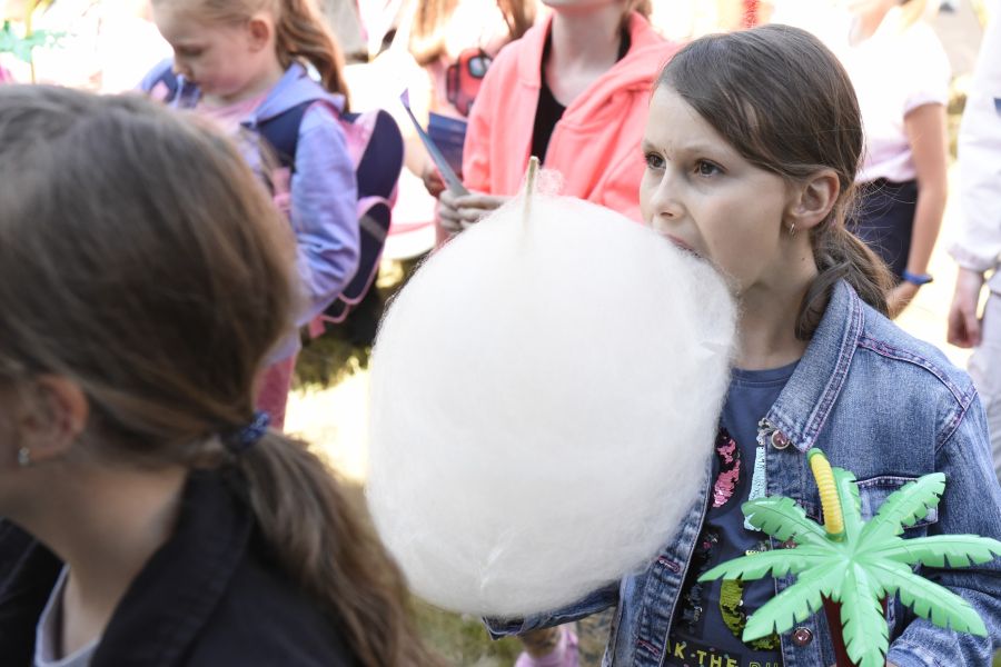 Kliknij aby zobaczyć pełny rozmiar