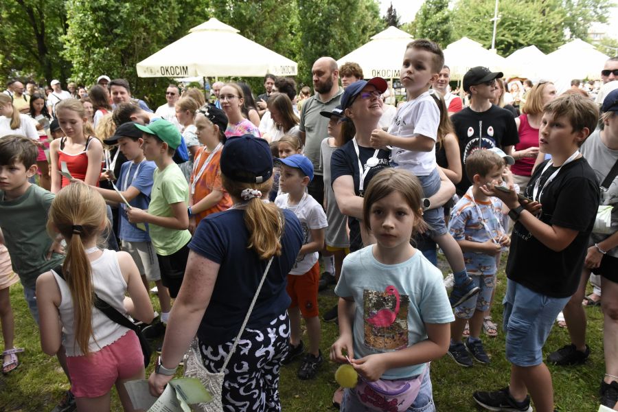 Kliknij aby zobaczyć pełny rozmiar