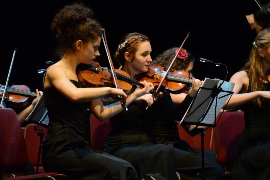 Kliknij aby zobaczyć pełny rozmiar