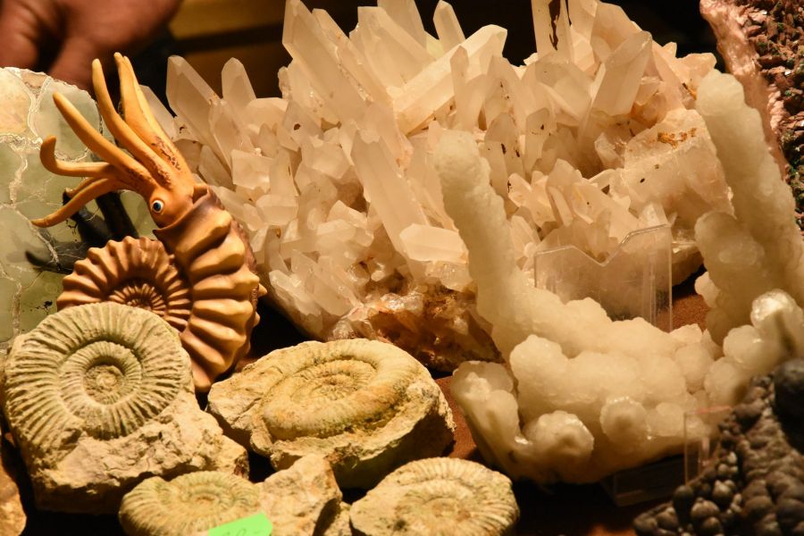 Kliknij aby zobaczyć pełny rozmiar