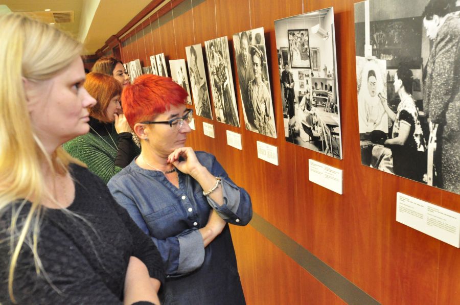 Kliknij aby zobaczyć pełny rozmiar